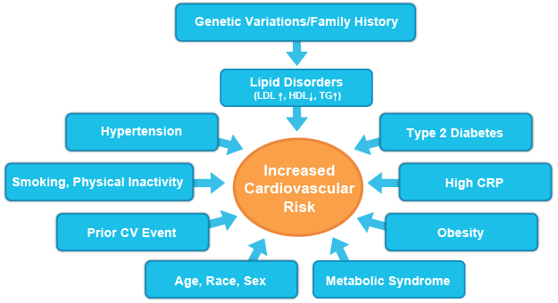 factors-that-contribute-to-increased-cv-risk
